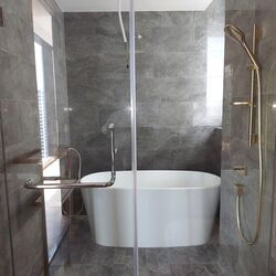 Meyer Mansion (D15), Apartment #497118321